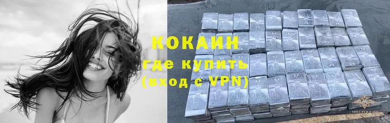 купить закладку  Люберцы  Cocaine 99% 